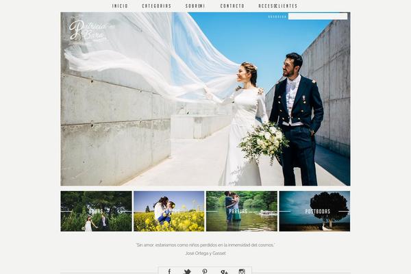ProPhoto 5 theme site design template sample