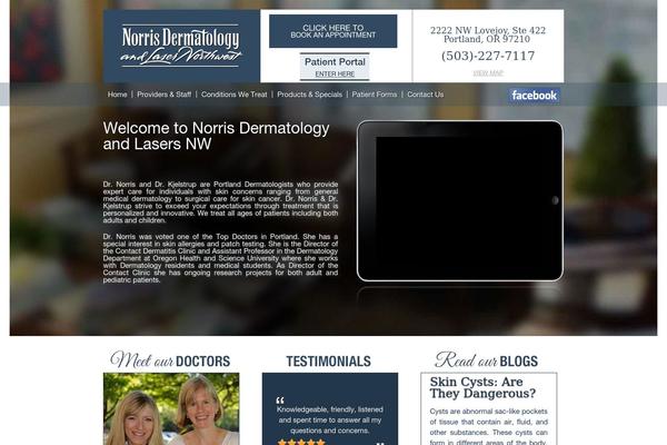 Norris theme site design template sample