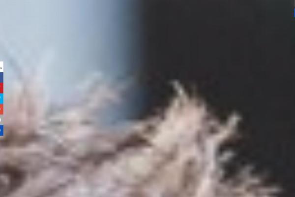 Moesia theme site design template sample