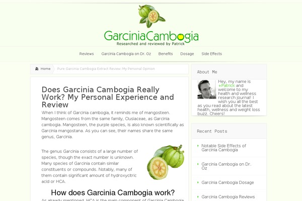Lucid theme site design template sample