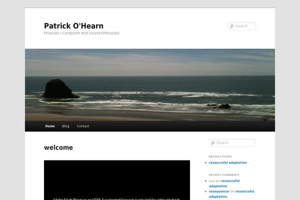 Twenty Eleven theme site design template sample