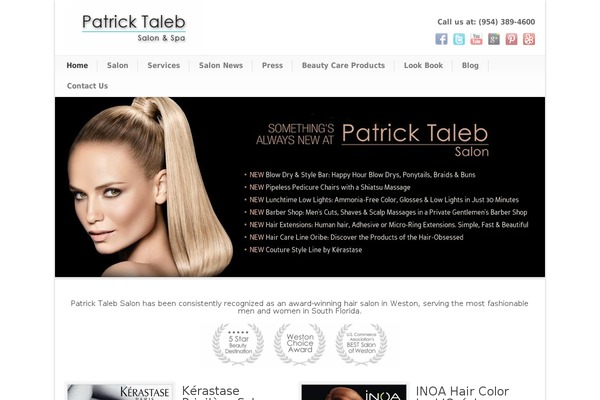 Modernize 2.09 theme site design template sample