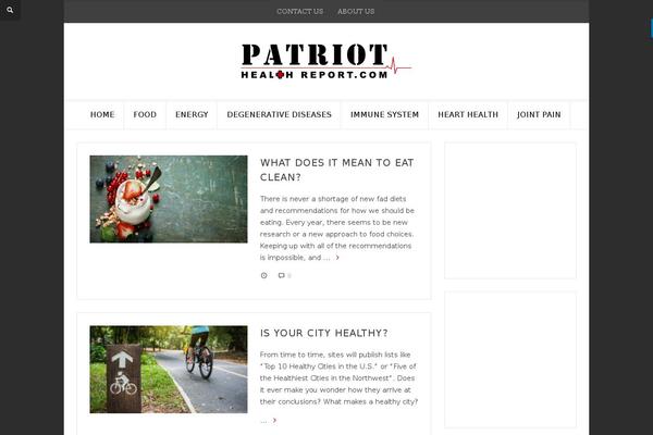 Netmag theme site design template sample