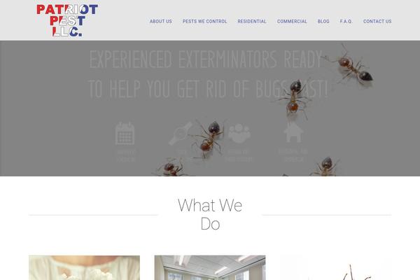 X Child theme site design template sample