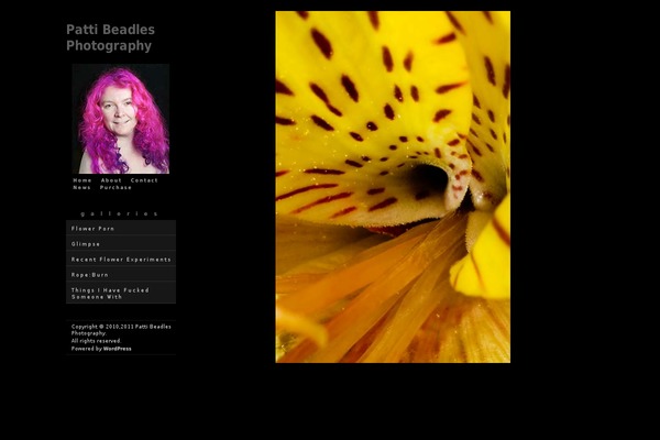 Photo Nexus theme site design template sample