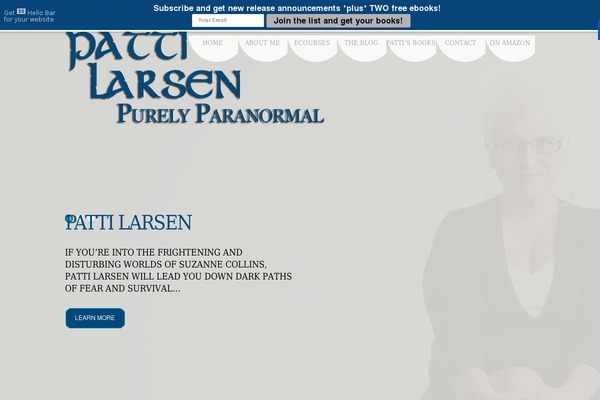 pattilarsen.com site used Theme1571
