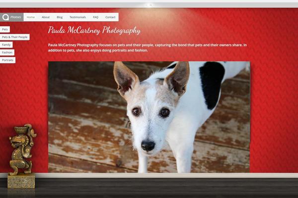 Photoes theme websites examples