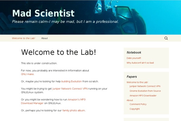 WordPress website example screenshot