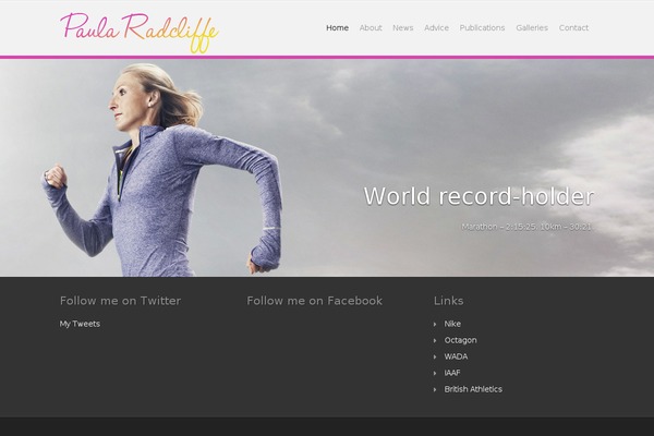 Panoramica theme site design template sample