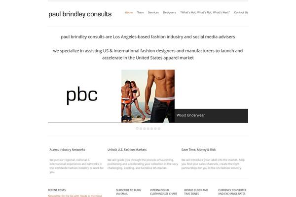 paulbrindleyconsults.com site used Sketsa