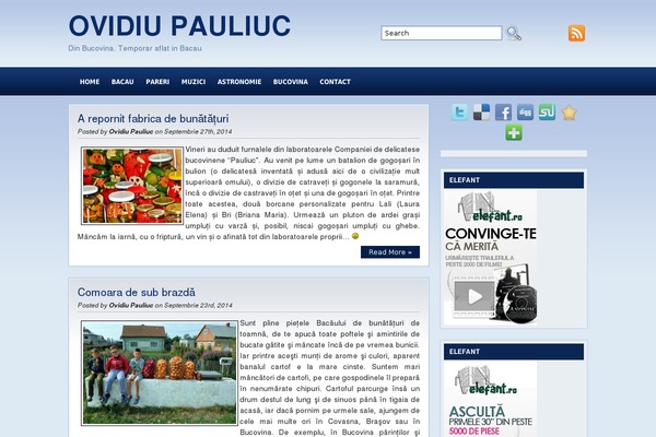 pauliuc.net site used Smartblue