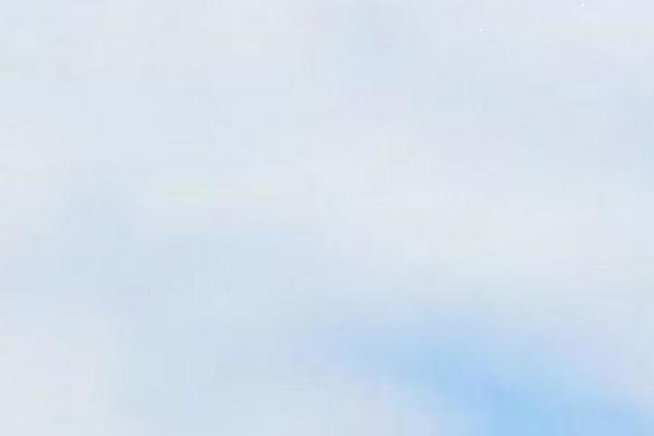 Site using Google AdSense by BestWebSoft plugin