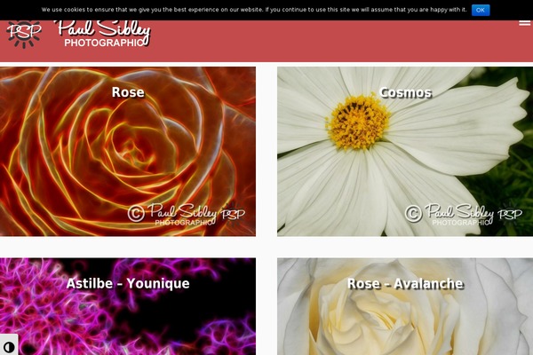 Ambiance Pro theme site design template sample