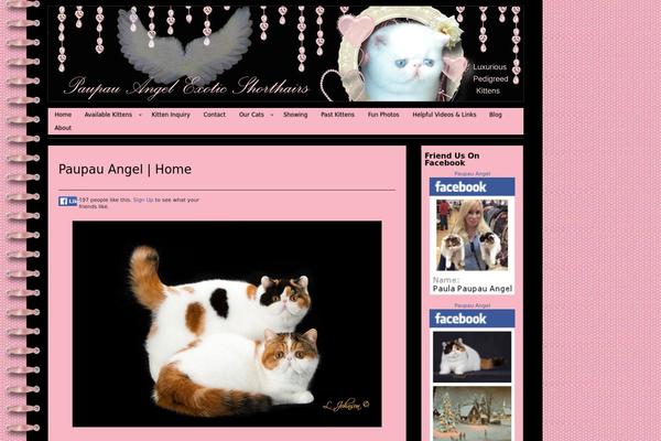 Open Sourcerer theme site design template sample