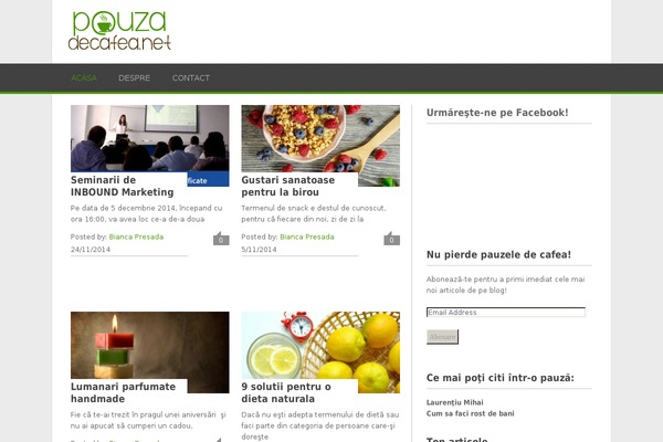 Playbook theme site design template sample