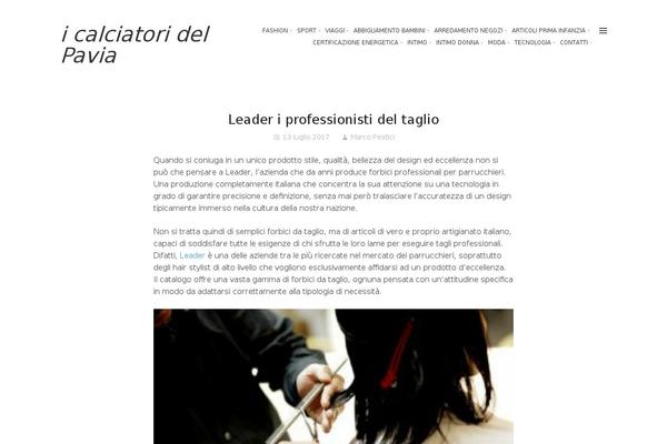 Zircone theme site design template sample