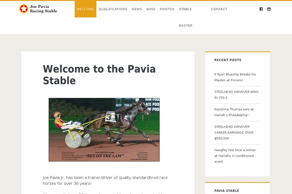 Ignite theme site design template sample