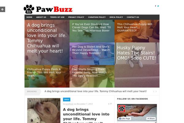 Rexus theme site design template sample
