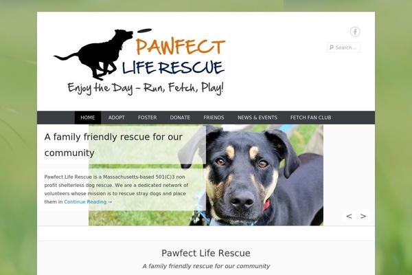 Catch Everest theme site design template sample