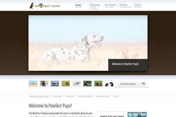 Avisio theme site design template sample