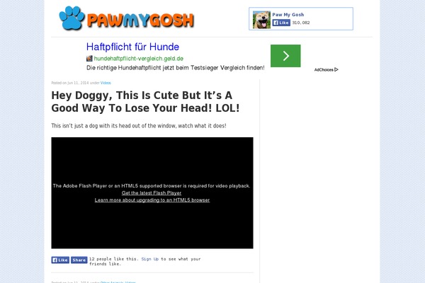 Site using Ad-ace plugin
