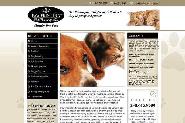 Solidcactus theme site design template sample