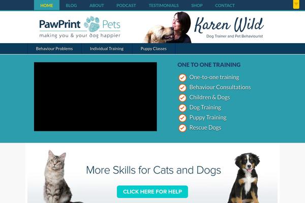 Site using Lazy Load for Videos plugin
