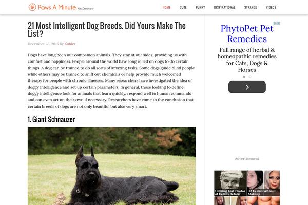 ResponsiveBlogily theme site design template sample