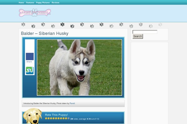 Paws theme site design template sample