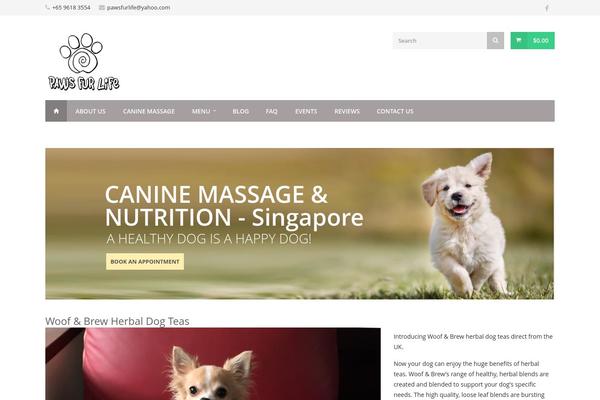 Trizzy theme site design template sample