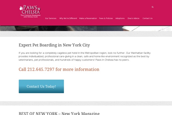 Rescue theme site design template sample