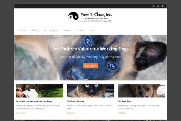 Sento_pro theme site design template sample