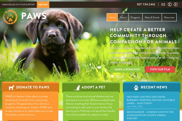 Paws theme site design template sample