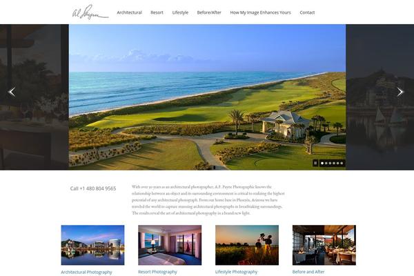 payne theme websites examples