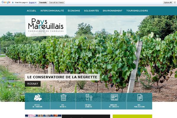 Coverstory theme site design template sample