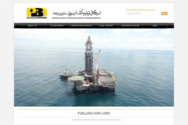 Elegant-Theme theme websites examples