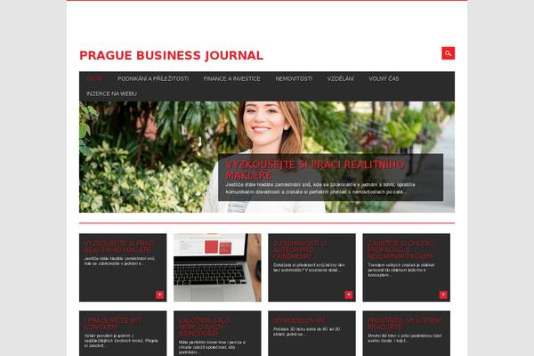 Magazino theme site design template sample