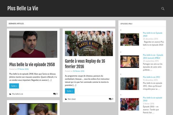 Momentous Lite theme site design template sample