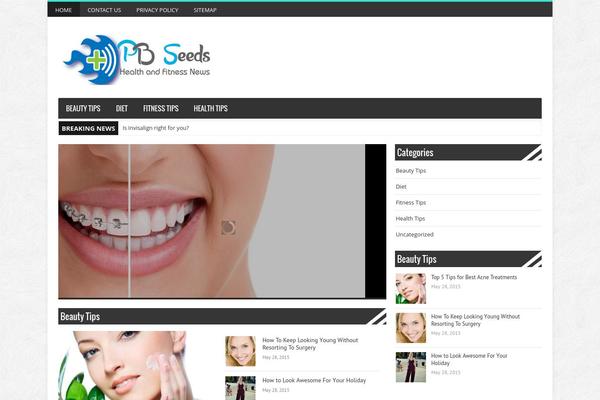 BresponZive Pro theme site design template sample