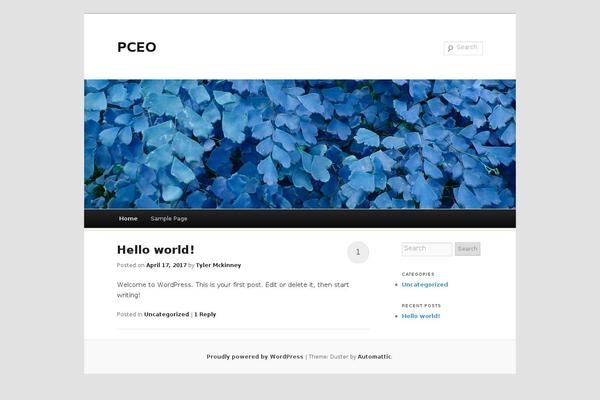 Duster theme site design template sample