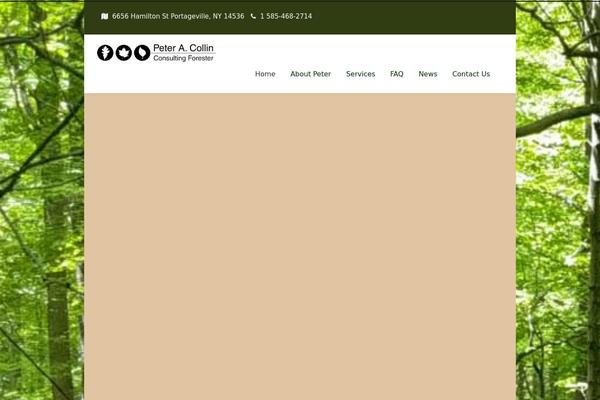Site using Motov4-formbuilder plugin