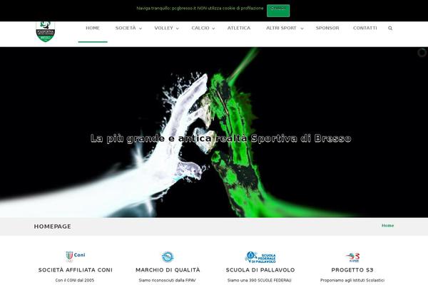 Site using Vision-core plugin