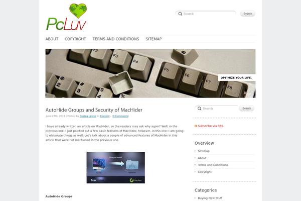 Delicate theme site design template sample