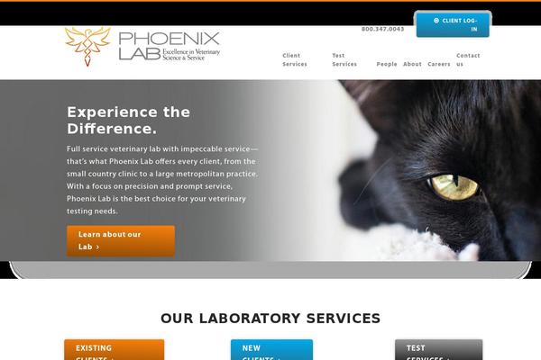 Phoenix theme site design template sample