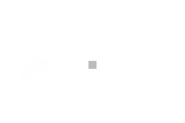 Site using Hurrytimer plugin