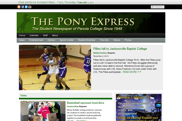 Sno Flex theme site design template sample