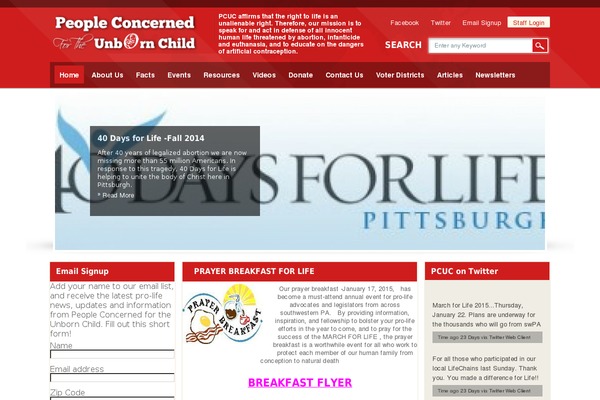 Skelementor theme site design template sample