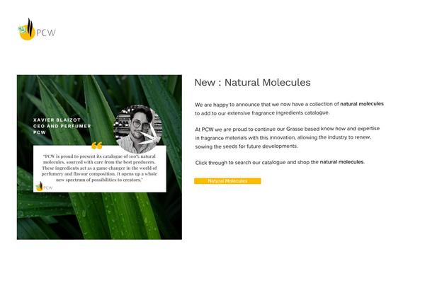 Revolution theme site design template sample