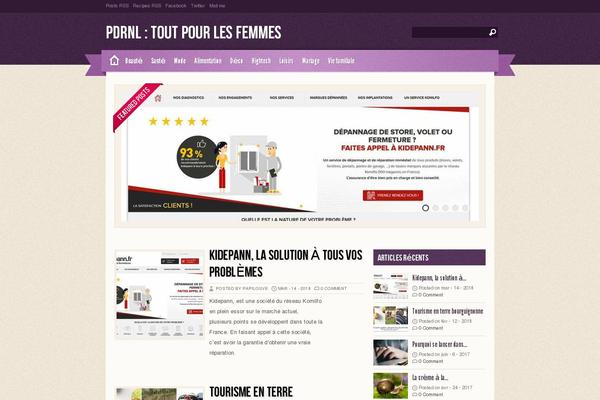 Zylyz theme site design template sample
