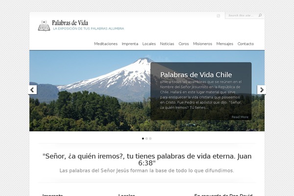 Chameleon theme site design template sample
